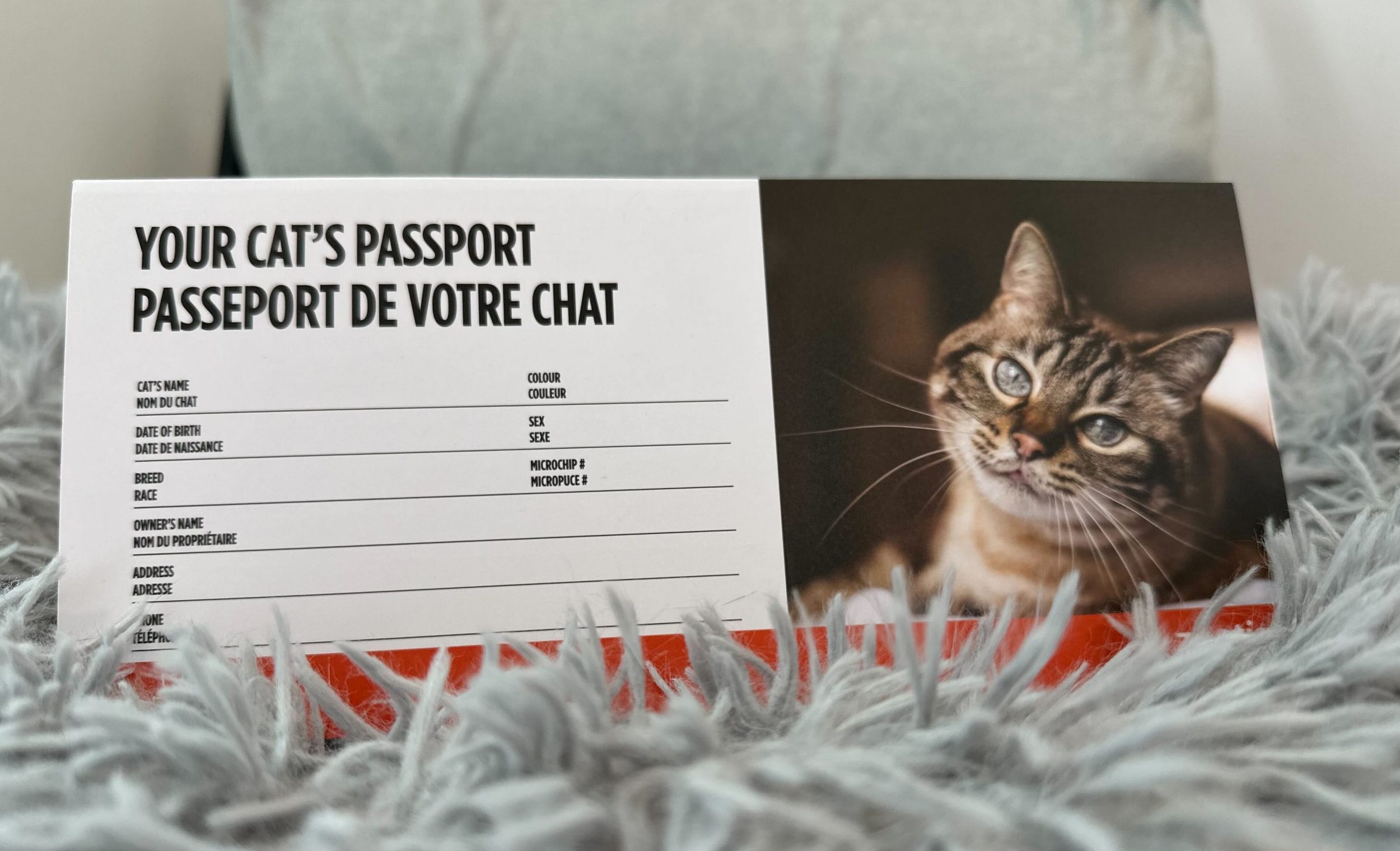 Photo d'un passeport de santé Zoetis pour y consigner les vaccins et vermifuges administrés.
